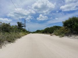  토지을(를) Chicxulub Pueblo, 유카탄에서 판매합니다., Chicxulub Pueblo