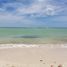  토지을(를) Chicxulub Pueblo, 유카탄에서 판매합니다., Chicxulub Pueblo