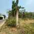  Land for sale in Comalcalco, Tabasco, Comalcalco, Tabasco