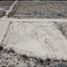  Terreno (Parcela) en alquiler en Arteaga, Coahuila, Arteaga, Coahuila