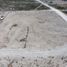  Grundstück zu vermieten in Arteaga, Coahuila, Arteaga