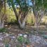  Land for sale in Tuxtla Gutierrez, Chiapas, Tuxtla Gutierrez, Chiapas