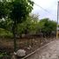  Grundstück zu verkaufen in Tuxtla Gutierrez, Chiapas, Tuxtla Gutierrez