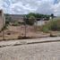 Terrain à vendre à Irapuato, Guanajuato, Irapuato