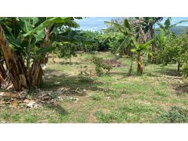  Land for sale in Bucaramanga, Santander, Bucaramanga