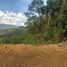  Land for sale in Girardota, Antioquia, Girardota