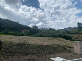  Land for sale in La Ceja, Antioquia, La Ceja, Antioquia