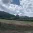  Land for sale in La Ceja, Antioquia, La Ceja, Antioquia