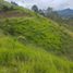  Land for sale in Penol, Antioquia, Penol