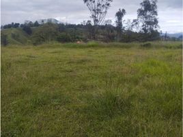  Land for sale in Penol, Antioquia, Penol