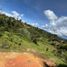  Land for sale in Marinilla, Antioquia, Marinilla