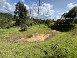  Land for sale in Marinilla, Antioquia, Marinilla