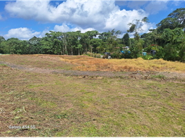  Land for sale in Filandia, Quindio, Filandia