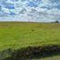  Land for sale in Tabacundo, Pichincha, Tabacundo, Pedro Moncayo