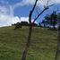  Land for sale in La Calera, Cundinamarca, La Calera