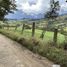  Land for sale in La Calera, Cundinamarca, La Calera