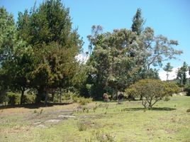  Terreno (Parcela) en venta en Tocancipa, Cundinamarca, Tocancipa