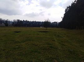  Land for sale in Gachancipa, Cundinamarca, Gachancipa