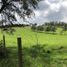  Land for sale in Madrid, Cundinamarca, Madrid