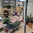 4 Habitación Villa en venta en Chia, Cundinamarca, Chia