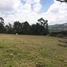  Land for sale in La Calera, Cundinamarca, La Calera