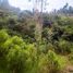  Land for sale in Duitama, Boyaca, Duitama