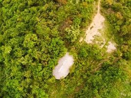 Land for sale in Girardot, Cundinamarca, Girardot