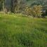  Land for sale in La Calera, Cundinamarca, La Calera