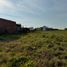  Land for sale in Uruguay Entre Rios, Uruguay