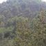  토지을(를) Cadereyta De Montes, Queretaro에서 판매합니다., Cadereyta De Montes