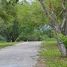  Land for sale in Allende, Nuevo Leon, Allende