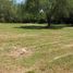  Land for sale in Allende, Nuevo Leon, Allende
