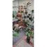 3 Schlafzimmer Appartement zu verkaufen in Medellin, Antioquia, Medellin
