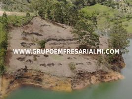  Terreno (Parcela) en venta en Penol, Antioquia, Penol