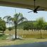  Land for sale in Montemorelos, Nuevo Leon, Montemorelos