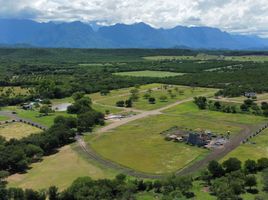  Land for sale in Montemorelos, Nuevo Leon, Montemorelos