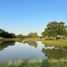  Land for sale in Montemorelos, Nuevo Leon, Montemorelos