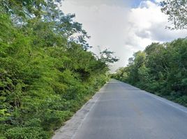  Grundstück zu verkaufen in Acanceh, Yucatan, Acanceh