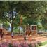  Land for sale in Allende, Nuevo Leon, Allende