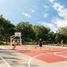  Land for sale in Allende, Nuevo Leon, Allende