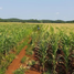  Land for sale in Hecelchakan, Campeche, Hecelchakan