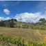  Terreno (Parcela) en venta en El Carmen De Viboral, Antioquia, El Carmen De Viboral