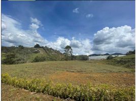  Terreno (Parcela) en venta en El Carmen De Viboral, Antioquia, El Carmen De Viboral