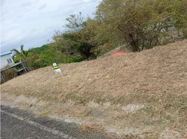  Terrain for sale in La Ermita, San Carlos, La Ermita