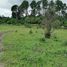 Terrain à vendre à Valle De Bravo, Mexico, Valle De Bravo, Mexico