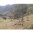  Land for sale in San Vicente, Antioquia, San Vicente