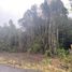  Land for sale in Puerto Montt, Llanquihue, Puerto Montt