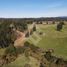  Terrain for sale in Los Lagos, Ancud, Chiloe, Los Lagos