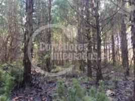  Land for sale in Malleco, Araucania, Curacautin, Malleco