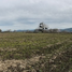  Grundstück zu verkaufen in Colchagua, Libertador General Bernardo Ohiggins, Santa Cruz